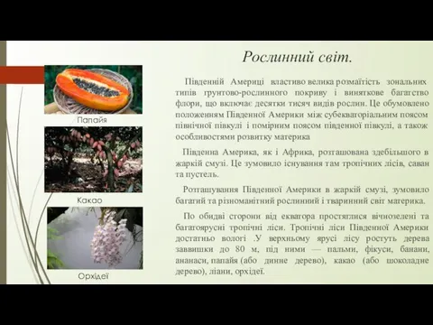 Рослинний світ. Південній Америці властиво велика розмаїтість зональних типів грунтово-рослинного