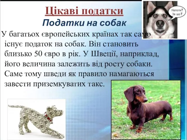 Цікаві податки Податки на собак У багатьох європейських країнах так