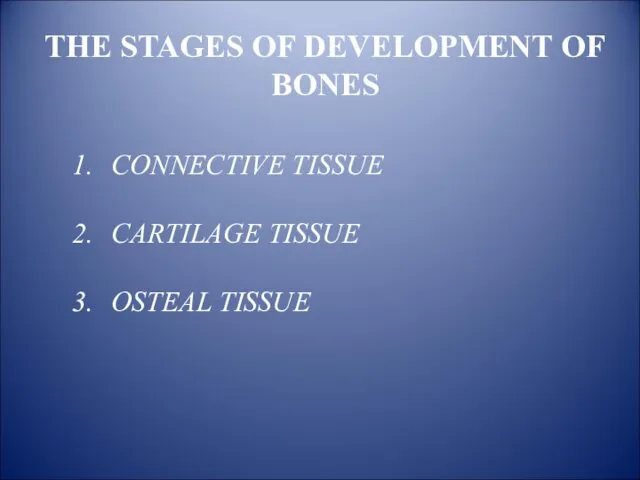 THE STAGES OF DEVELOPMENT OF BONES CONNECTIVE TISSUE CARTILAGE TISSUE OSTEAL TISSUE