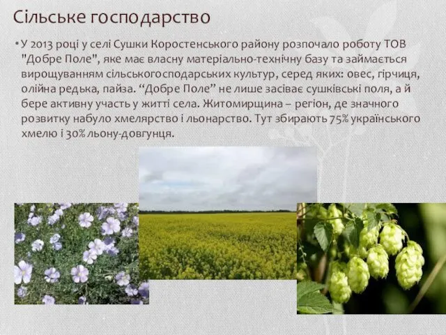 Сільське господарство У 2013 році у селі Сушки Коростенського району