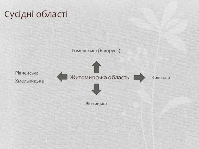 Сусідні області Житомирська область Гомельська (Білорусь) Рівненська Вінницька Київська Хмельницька