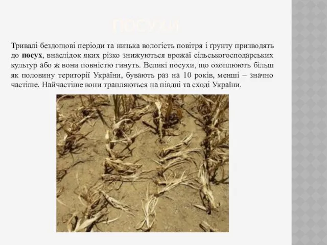 ПОСУХИ Тривалі бездощові періоди та низька вологість повітря і ґрунту