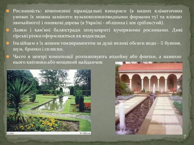 Рослинність: вічнозелені пірамідальні кипариси (в наших кліматичних умовах їх можна