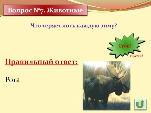 Что теряет лось каждую зиму? 30 Время! 29 28 27