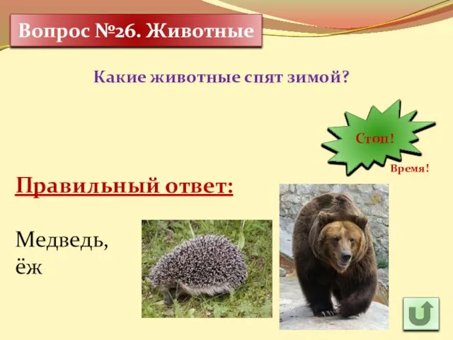 Какие животные спят зимой? 30 Время! 29 28 27 26