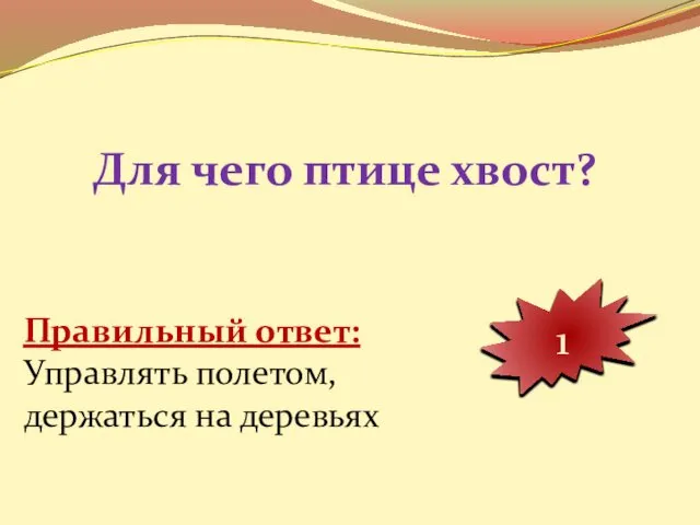 Для чего птице хвост? 10 9 8 7 6 5