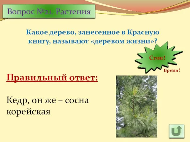 Вопрос №21. Растения Какое дерево, занесенное в Красную книгу, называют