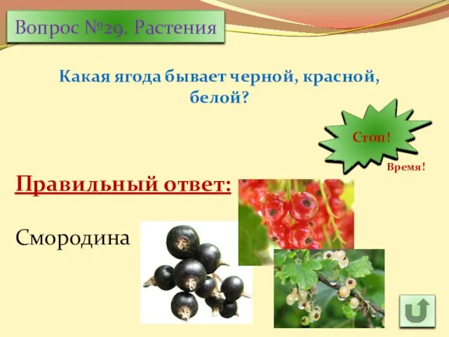Вопрос №29. Растения Какая ягода бывает черной, красной, белой? 30