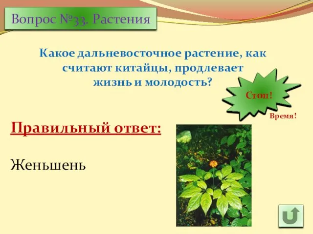 Вопрос №33. Растения Какое дальневосточное растение, как считают китайцы, продлевает