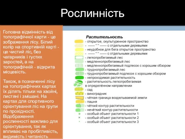 Рослинність Головна відмінність від топографічної карти - це зображення лісу.