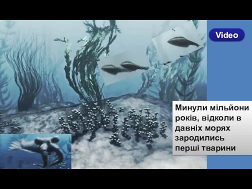 Минули мільйони років, відколи в давніх морях зародились перші тварини Video