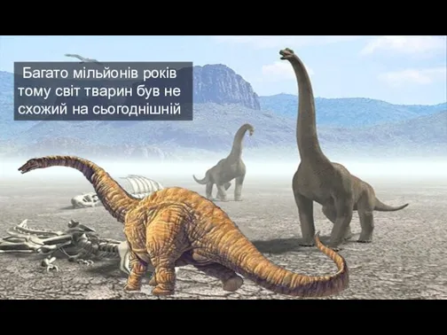 Багато мільйонів років тому світ тварин був не схожий на сьогоднішній