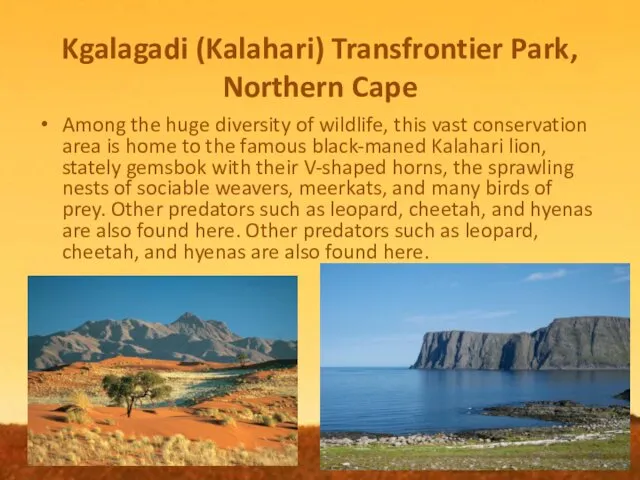 Kgalagadi (Kalahari) Transfrontier Park, Northern Cape Among the huge diversity