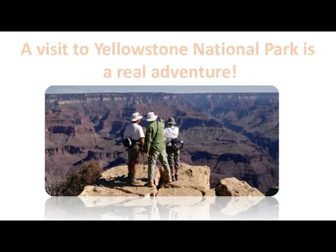A visit to Yellowstone National Park is a real adventure!