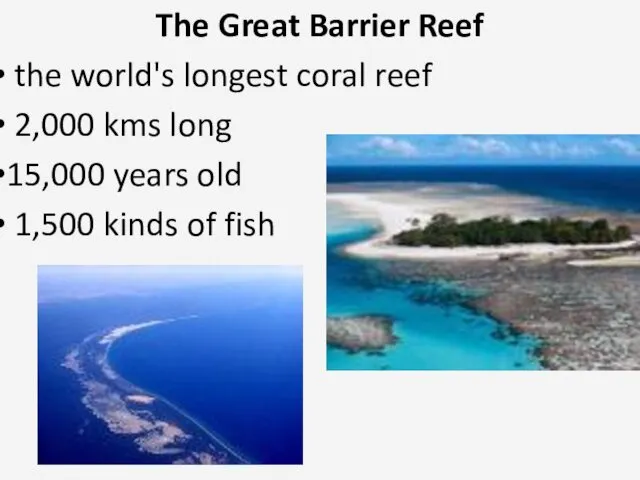 The Great Barrier Reef the world's longest coral reef 2,000