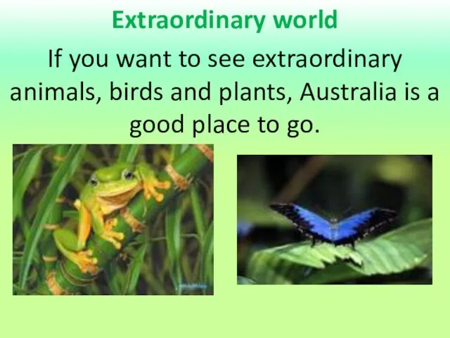Extraordinary world If you want to see extraordinary animals, birds