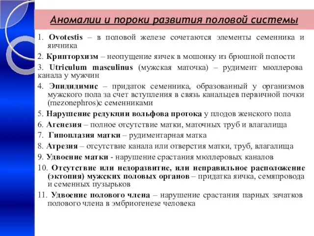 Аномалии и пороки развития половой системы 1. Ovotestis – в половой железе сочетаются