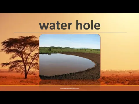 water hole YASAMANSAMSAMI@GMAIL.COM