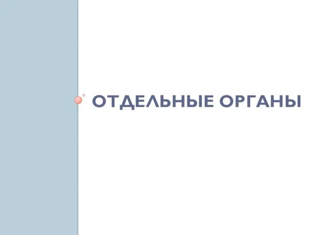 ОТДЕЛЬНЫЕ ОРГАНЫ