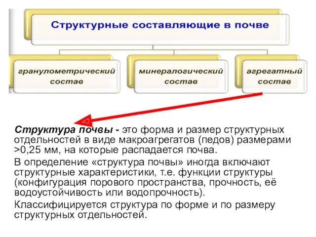 Структура почвы - это форма и размер структурных отдельностей в