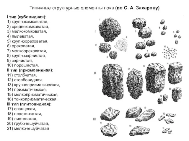 I тип (кубовидная): 1) крупнокомковатая, 2) среднекомковатая, 3) мелкокомковатая, 4)