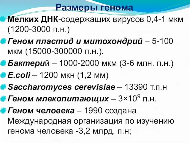 Мелких ДНК-содержащих вирусов 0,4-1 мкм (1200-3000 п.н.) Геном пластид и