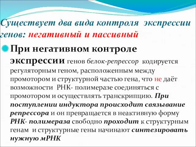 Существует два вида контроля экспрессии генов: негативный и пассивный При