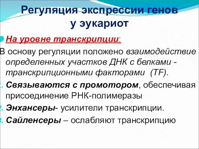 Регуляция экспрессии генов у эукариот На уровне транскрипции: В основу