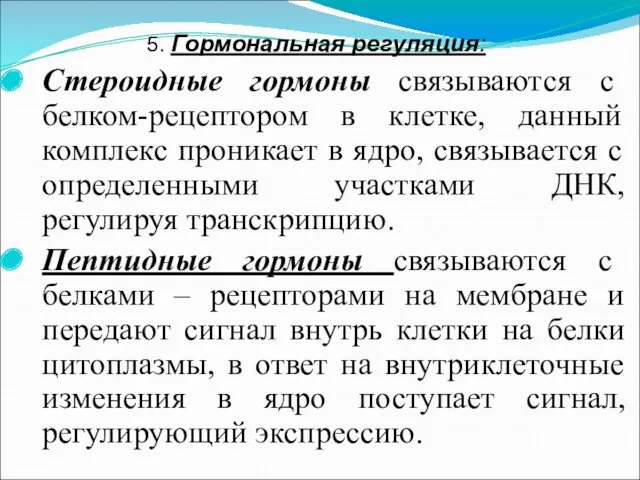 5. Гормональная регуляция: Стероидные гормоны связываются с белком-рецептором в клетке,