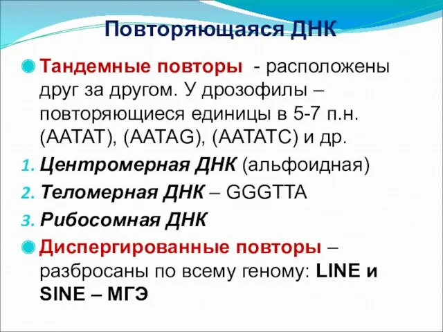 Повторяющаяся ДНК Тандемные повторы - расположены друг за другом. У