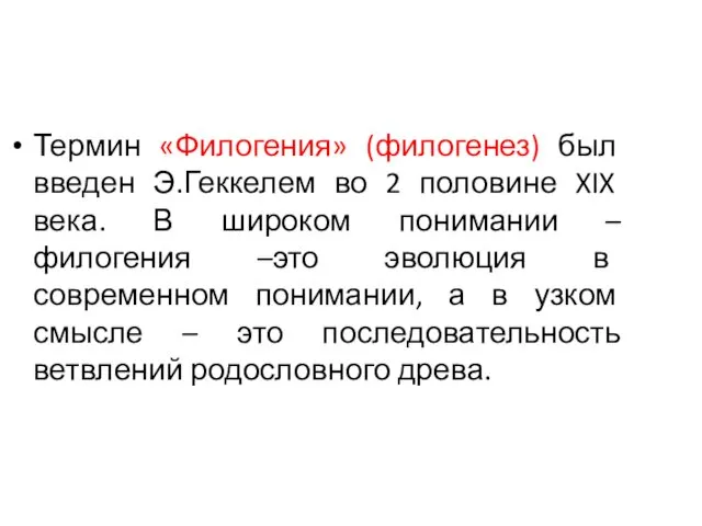 Термин «Филогения» (филогенез) был введен Э.Геккелем во 2 половине XIX