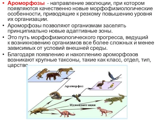 Ароморфозы - направление эволюции, при котором появляются качественно новые морфофизиологические