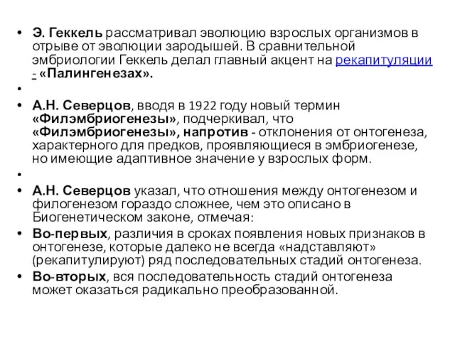 Э. Геккель рассматривал эволюцию взрослых организмов в отрыве от эволюции