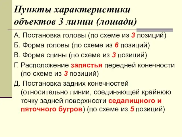 Пункты характеристики объектов 3 линии (лошади) А. Постановка головы (по