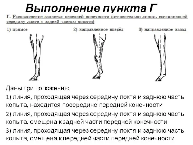 Выполнение пункта Г Даны три положения: 1) линия, проходящая через