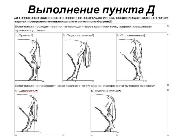 Выполнение пункта Д