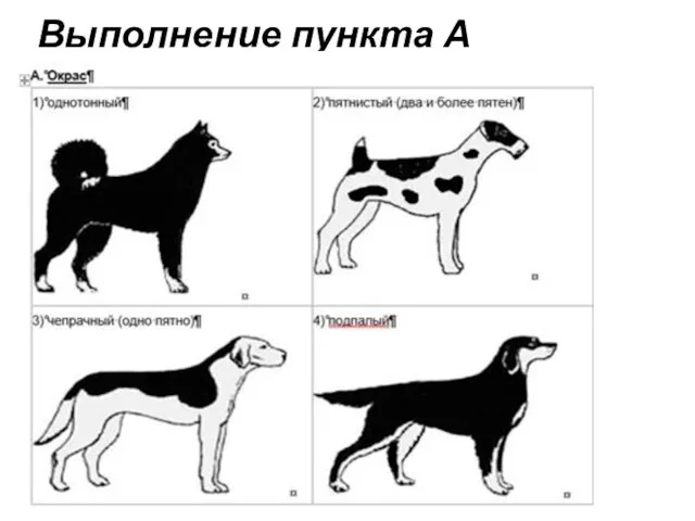 Выполнение пункта А