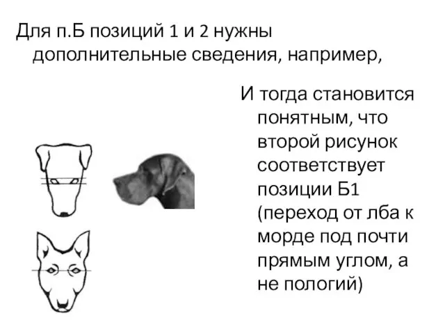 Для п.Б позиций 1 и 2 нужны дополнительные сведения, например,