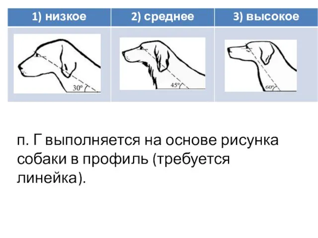 п. Г выполняется на основе рисунка собаки в профиль (требуется линейка).