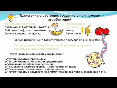 Устойчивость к гербицидам; Устойчивость к болезням и вредителям; Изменение морфологии