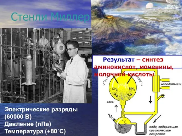 Стенли Миллер Результат – синтез аминокислот, мочевины, молочной кислоты Электрические