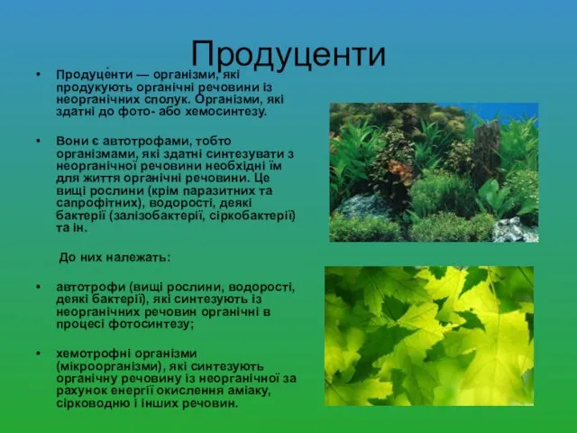 Продуценти Продуце́нти — організми, які продукують органічні речовини із неорганічних