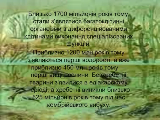 Близько 1700 мільйонів років тому, стали з'являтися багатоклітинні органеізми з