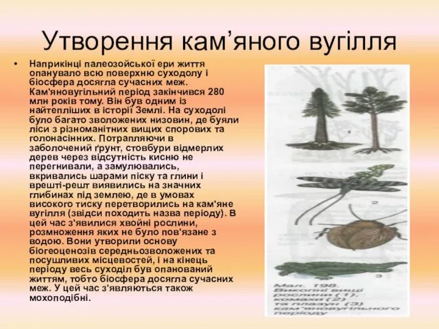 Утворення кам’яного вугілля Наприкінці палеозойської ери життя опанувало всю поверхню