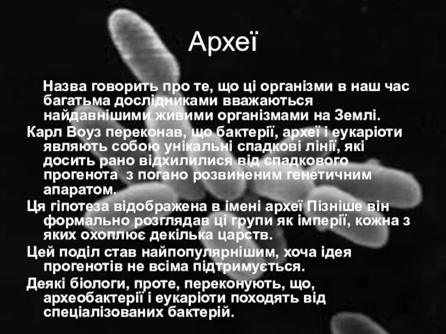 Археї Назва говорить про те, що ці організми в наш