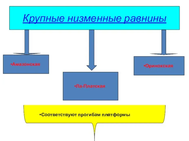 Крупные низменные равнины Амазонская Ла-Платская Оринокская Соответствуют прогибам платформы