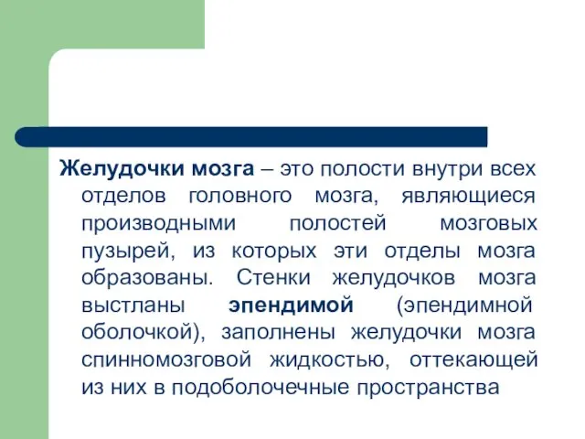 Желудочки мозга – это полости внутри всех отделов головного мозга, являющиеся производными полостей