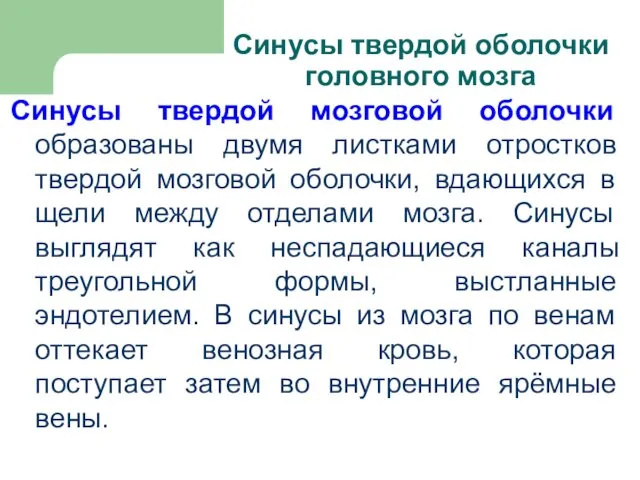 Синусы твердой оболочки головного мозга Синусы твердой мозговой оболочки образованы двумя листками отростков