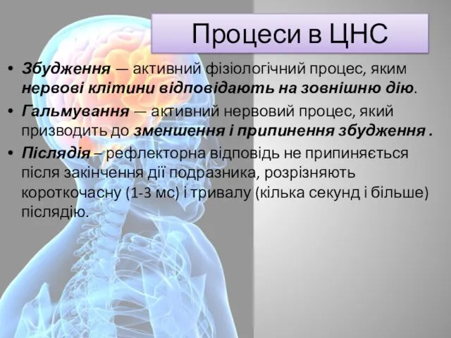 Процеси в ЦНС Збудження — активний фізіологіч­ний процес, яким нервові клітини відповідають на