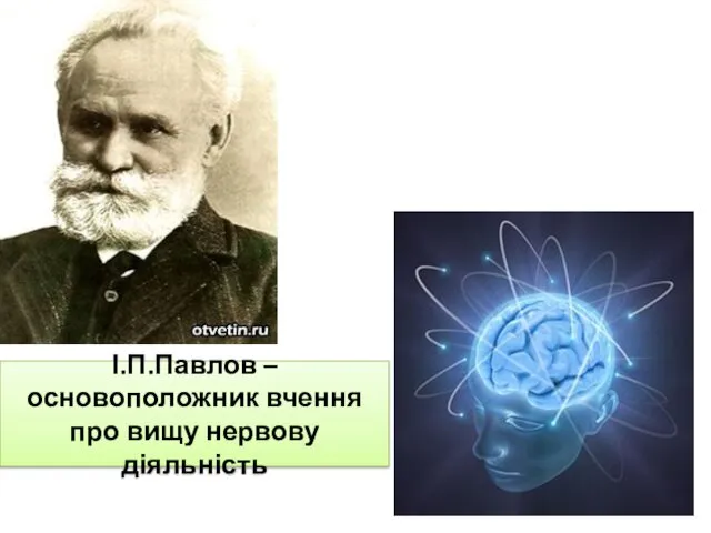 І.П.Павлов – основоположник вчення про вищу нервову діяльність